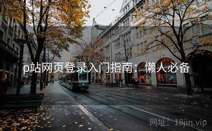 p站网页登录入门指南：懒人必备