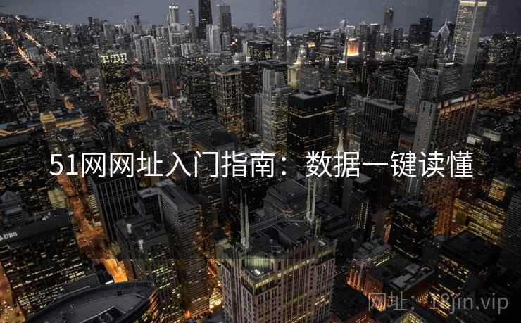 51网网址入门指南：数据一键读懂