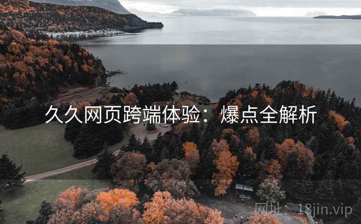 久久网页跨端体验：爆点全解析