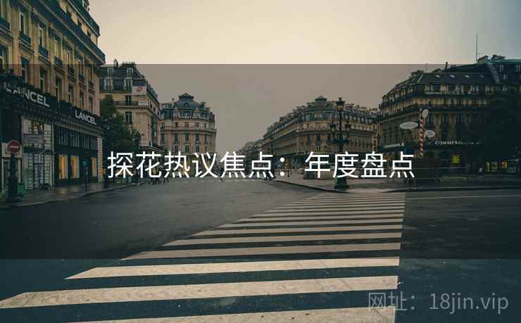探花热议焦点：年度盘点