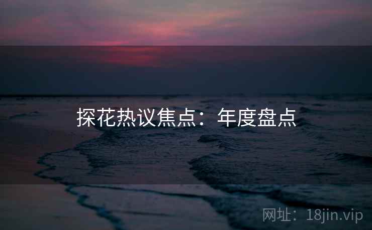探花热议焦点：年度盘点