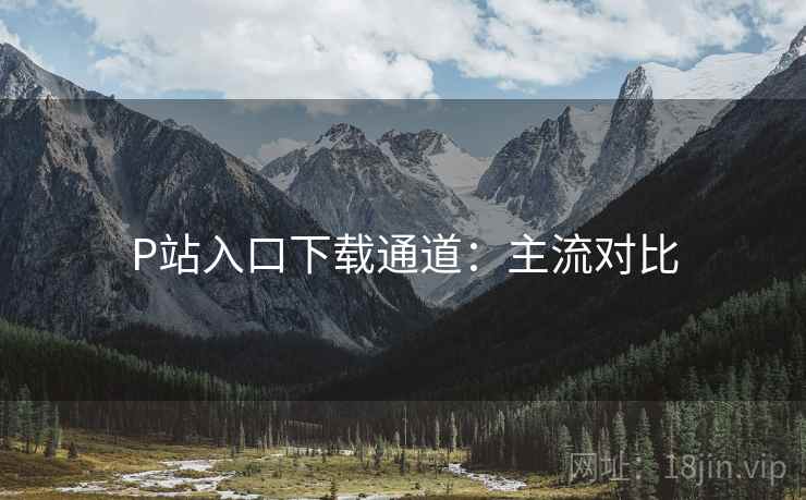 P站入口下载通道：主流对比