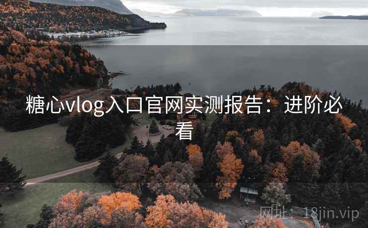 糖心vlog入口官网实测报告：进阶必看
