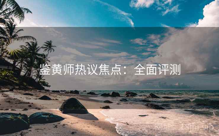 鉴黄师热议焦点：全面评测