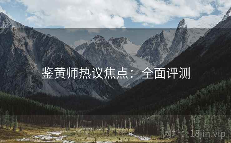 鉴黄师热议焦点：全面评测