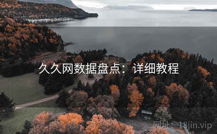 久久网数据盘点：详细教程