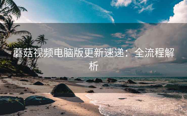 蘑菇视频电脑版更新速递：全流程解析